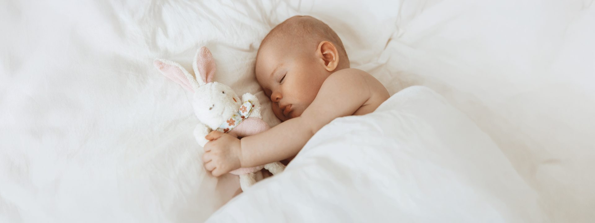 https://savechibabies.org/wp-content/uploads/2023/04/AdobeStock_520193473-2.jpg