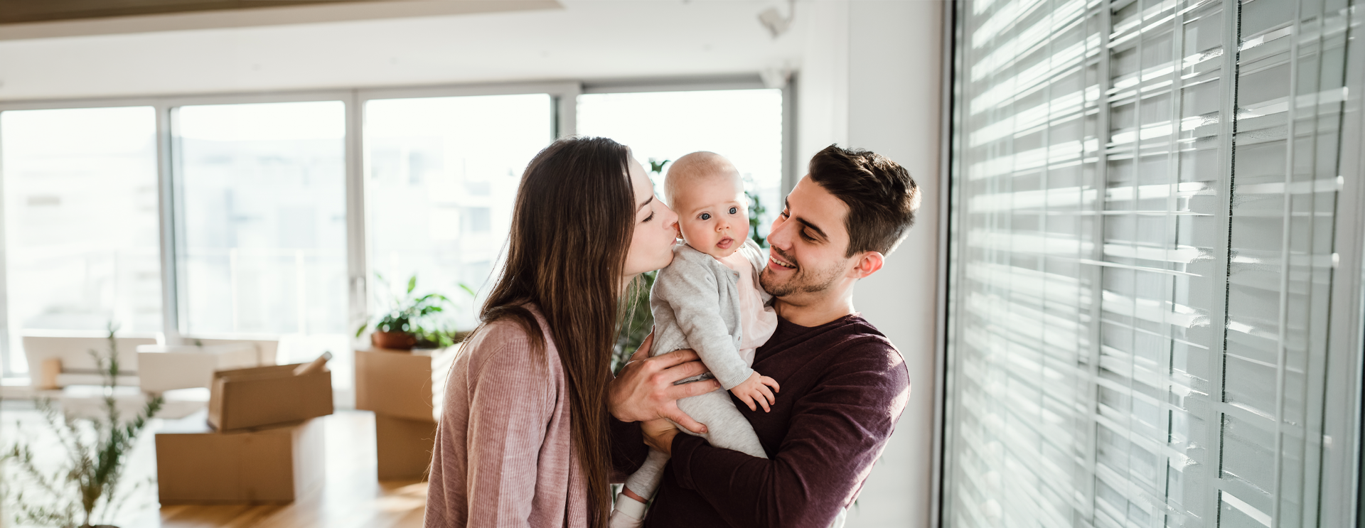 https://savechibabies.org/wp-content/uploads/2026/07/shutterstock_1297409371.png