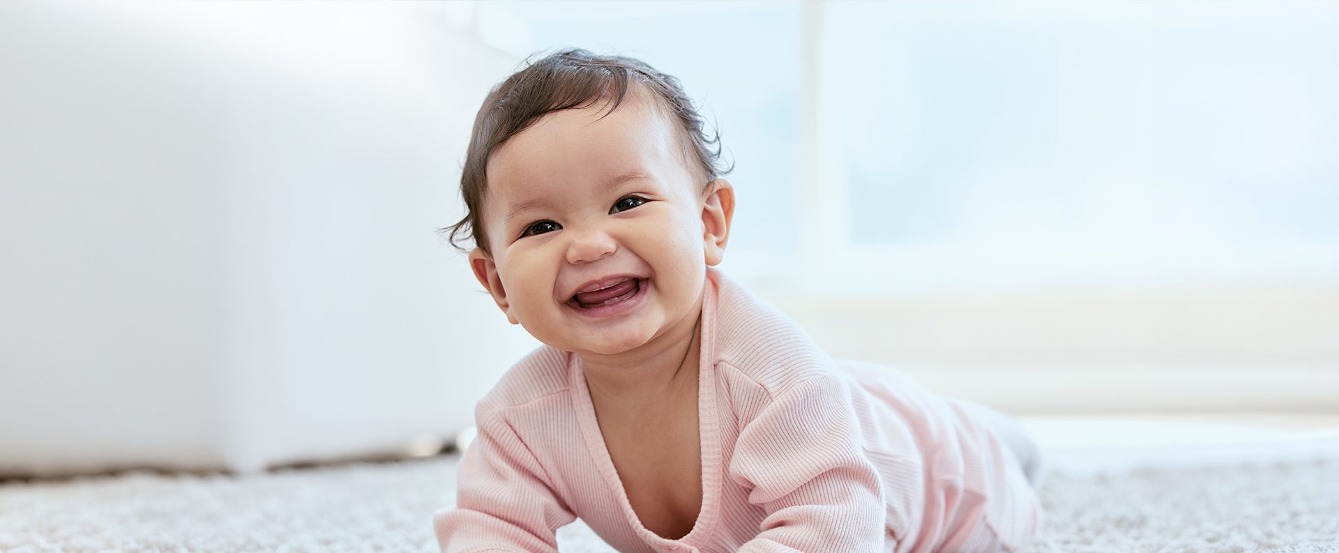 https://savechibabies.org/wp-content/uploads/2026/07/shutterstock_2487437787.jpg